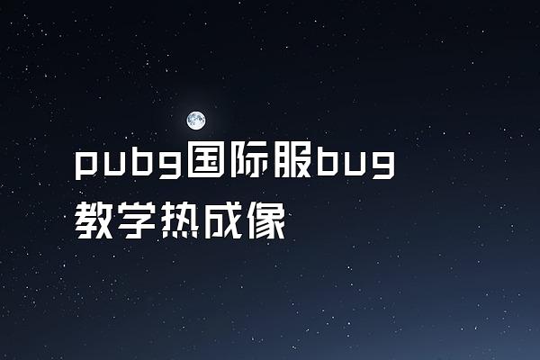 pubg国际服bug教学热成像