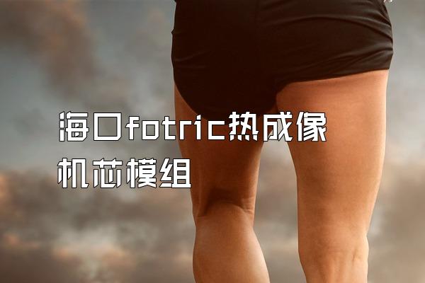 海口fotric热成像机芯模组