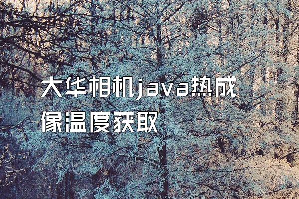 大华相机java热成像温度获取