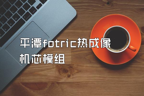 平潭fotric热成像机芯模组