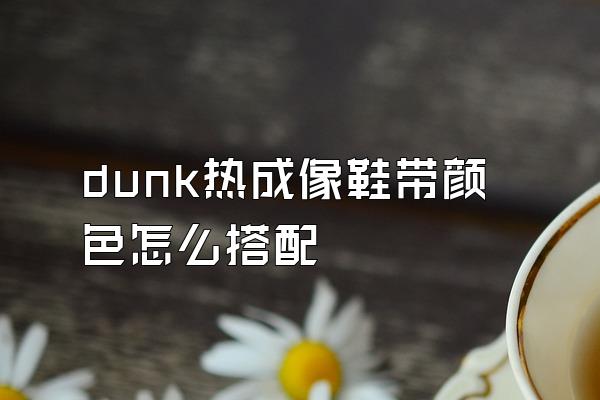 dunk热成像鞋带颜色怎么搭配