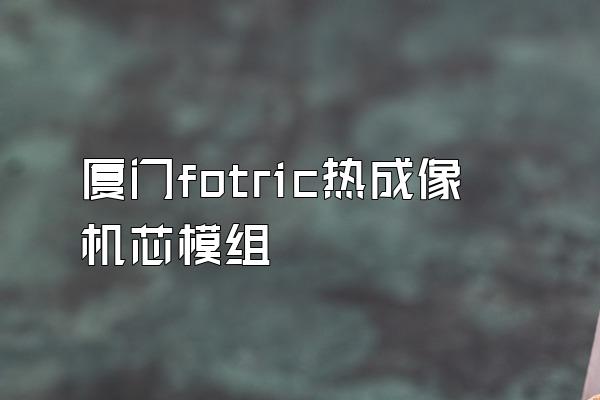 厦门fotric热成像机芯模组