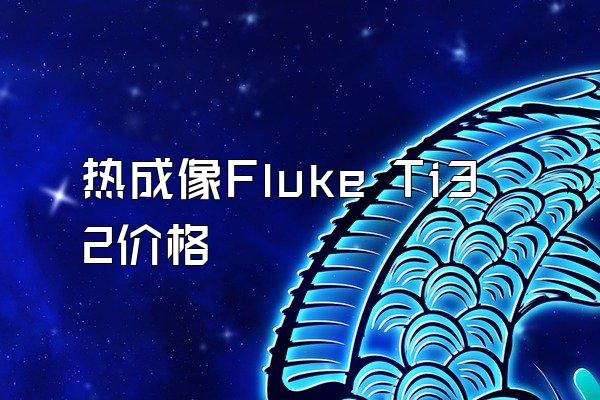 热成像Fluke Ti32价格