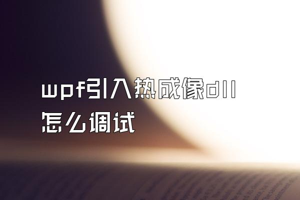 wpf引入热成像dll怎么调试