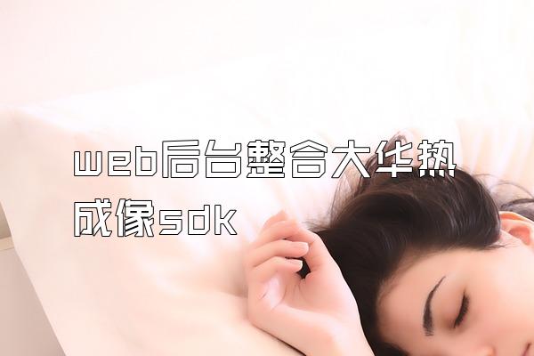 web后台整合大华热成像sdk