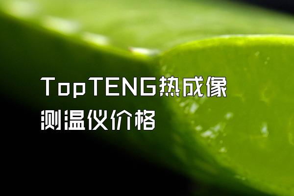 TopTENG热成像测温仪价格