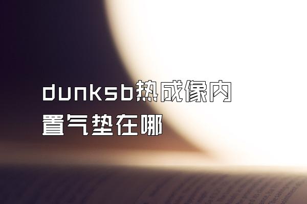 dunksb热成像内置气垫在哪