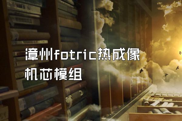 漳州fotric热成像机芯模组