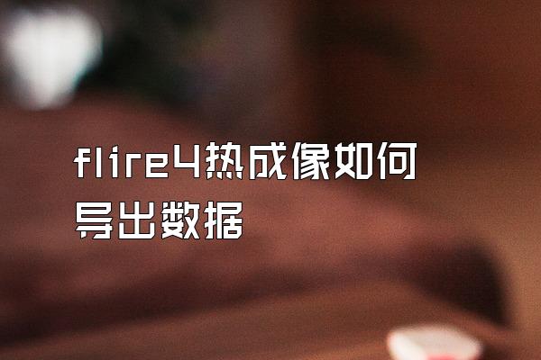 flire4热成像如何导出数据