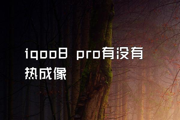 iqoo8 pro有没有热成像