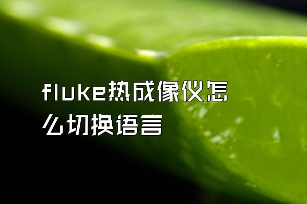 fluke热成像仪怎么切换语言