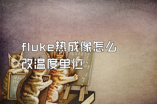 fluke热成像怎么改温度单位