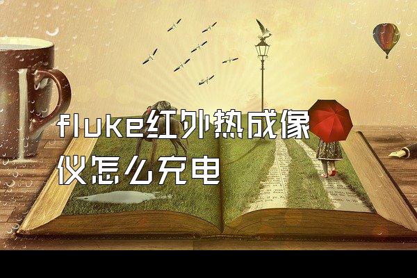 fluke红外热成像仪怎么充电