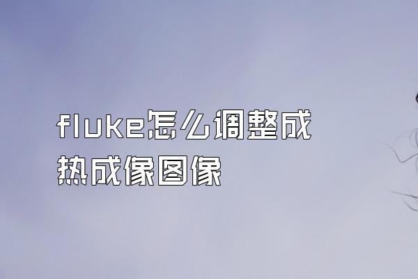 fluke怎么调整成热成像图像