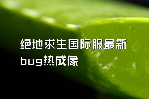 绝地求生国际服最新bug热成像