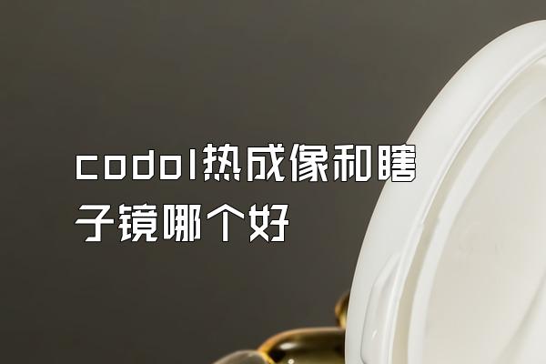 codol热成像和瞎子镜哪个好