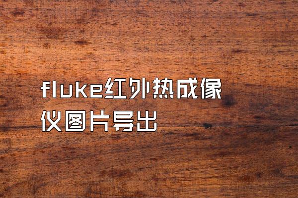 fluke红外热成像仪图片导出