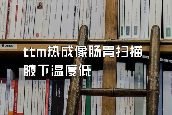 ttm热成像肠胃扫描腋下温度低