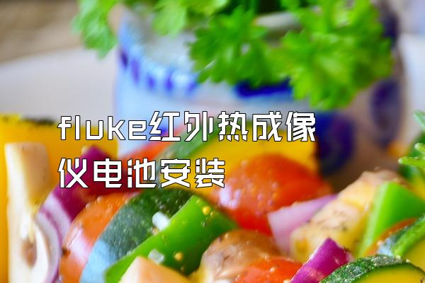 fluke红外热成像仪电池安装