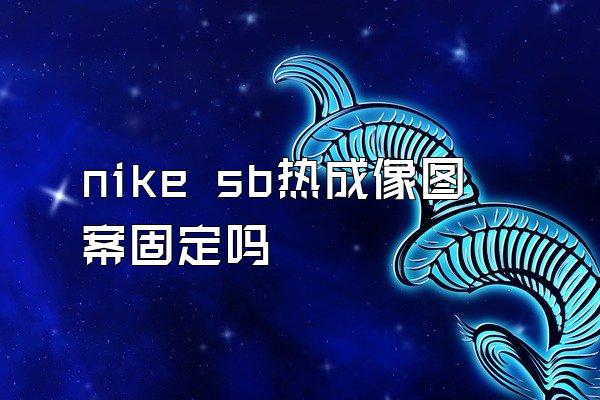 nike sb热成像图案固定吗