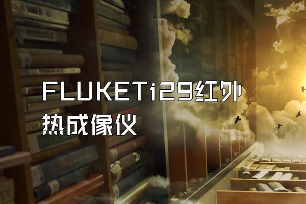 FLUKETi29红外热成像仪