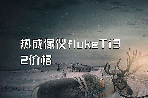 热成像仪flukeTi32价格