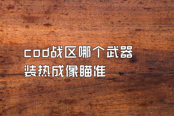 cod战区哪个武器装热成像瞄准