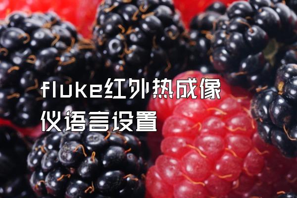 fluke红外热成像仪语言设置