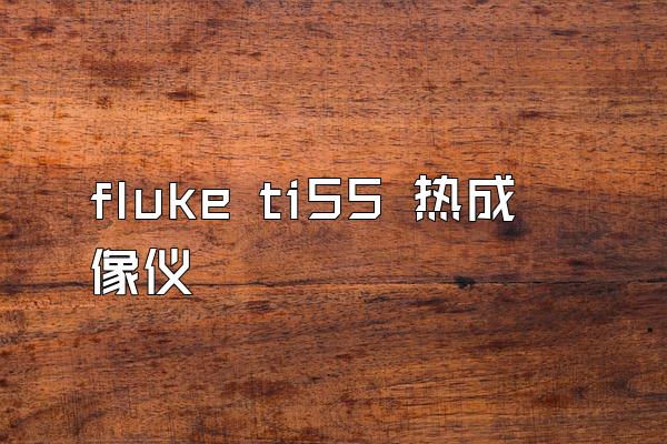 fluke ti55 热成像仪