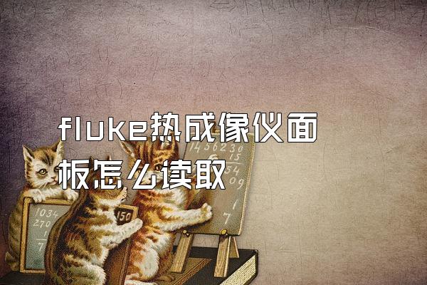 fluke热成像仪面板怎么读取