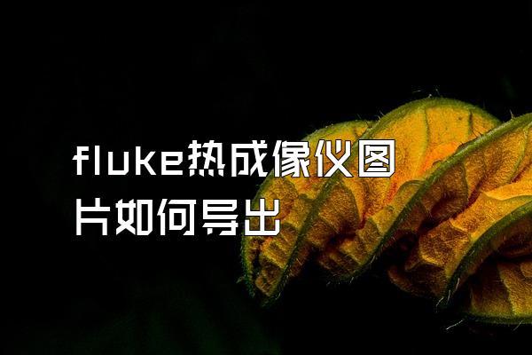 fluke热成像仪图片如何导出